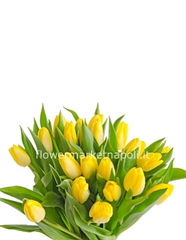Bouquet di tulipani gialli