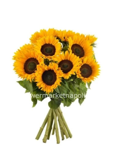Bouquet girasoli