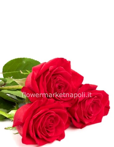 Bouquet di 3 rose rosse